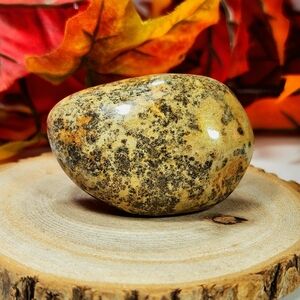 Dendritic Palm Stone